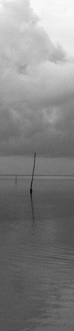 Alagoas, 2015