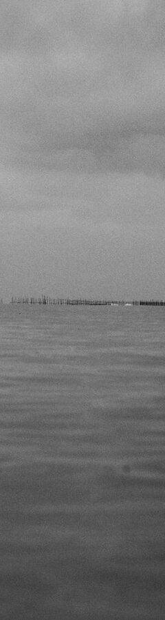 Alagoas, 2014