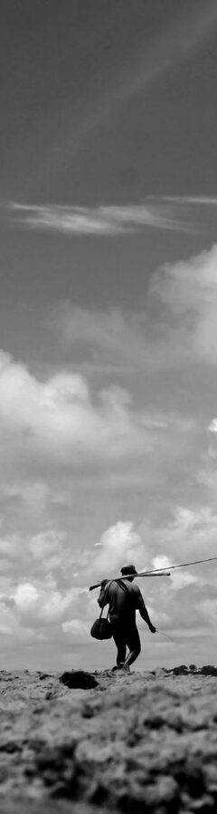 Alagoas, 2015