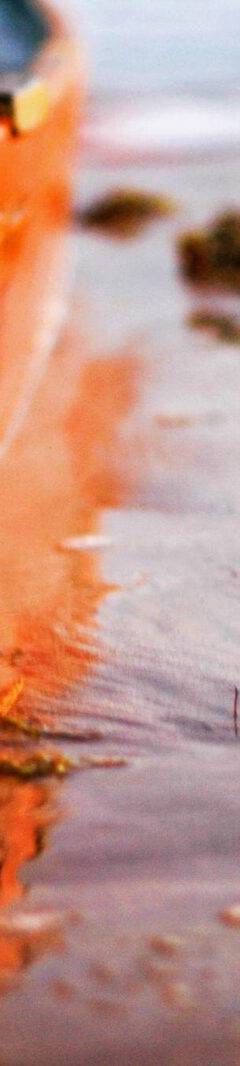 Alagoas, 2014