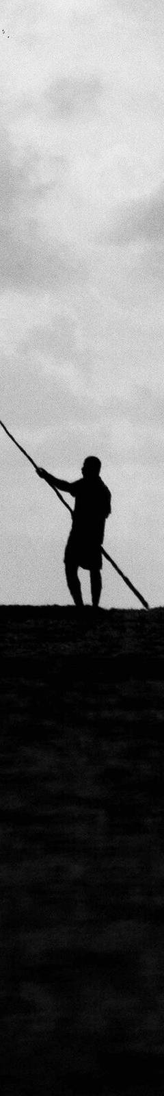 Pescador de tarrafa