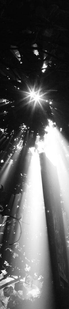 Raios de luz